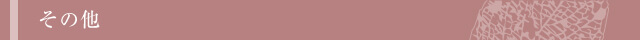 その他